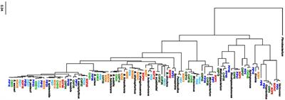 Endophytes and Epiphytes From the Grapevine Leaf Microbiome as Potential Biocontrol Agents Against Phytopathogens